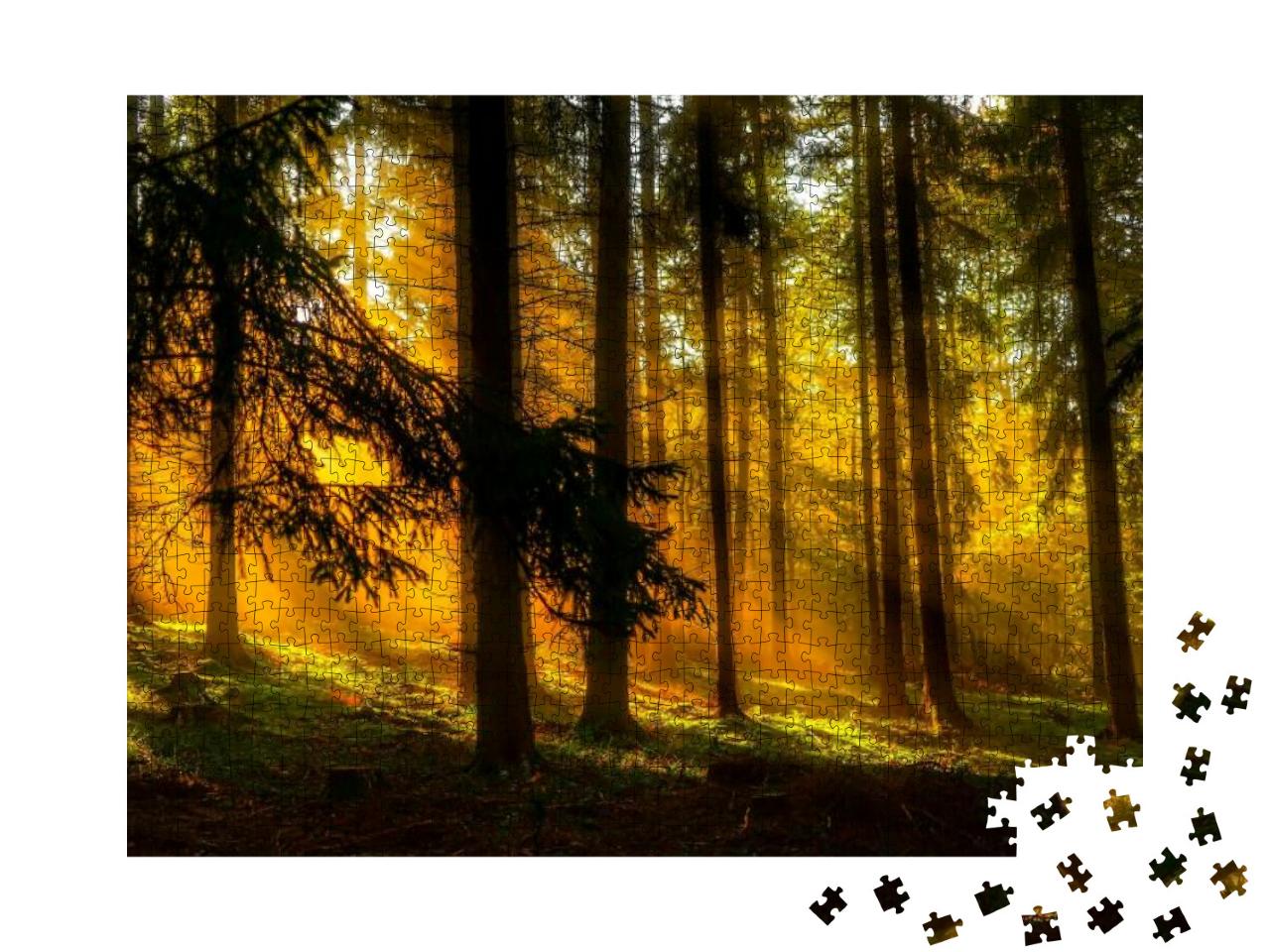 Sunset Sunbeams in Deep Wilderness Forest. Forest Sunbeam... Jigsaw Puzzle with 1000 pieces