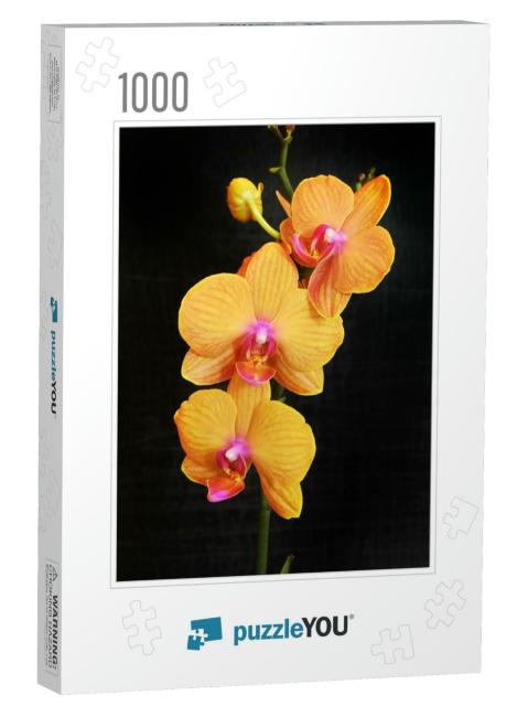 Orange Phalaenopsis Orchid with Blossoming Flowers & Buds... Jigsaw Puzzle with 1000 pieces