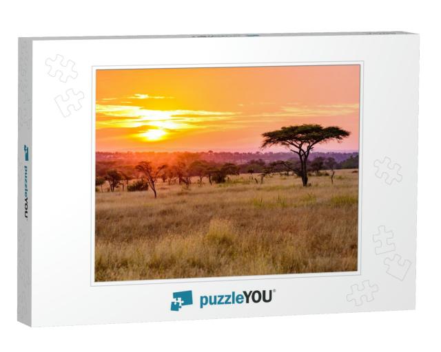 Sunset in Savannah of Africa with Acacia Trees, Safari in... Jigsaw Puzzle