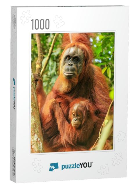 Female Sumatran Orangutan with a Baby Sitting on a Tree i... Jigsaw Puzzle with 1000 pieces