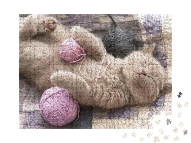 Sleeping Kitten Rare Color Lilac... Jigsaw Puzzle with 1000 pieces