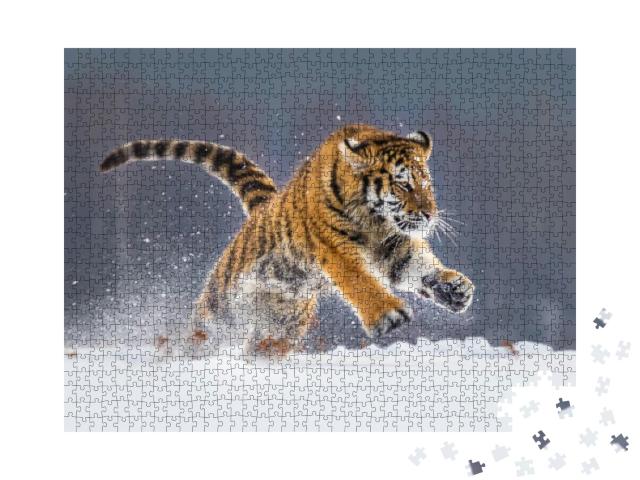 Siberian Tiger Running in Snow. Beautiful, Dynamic & Powe... Jigsaw Puzzle with 1000 pieces