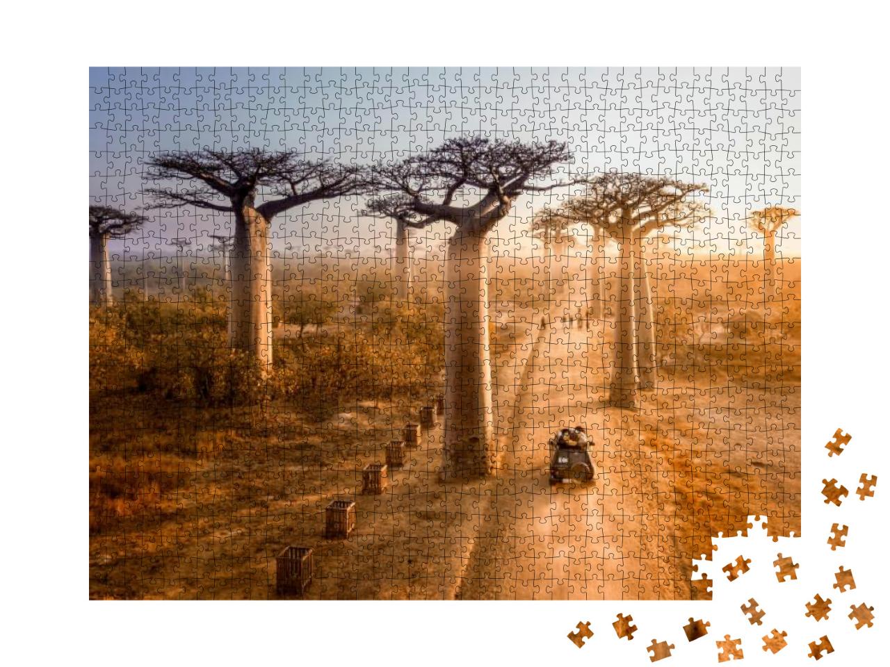 Beautiful Baobab Trees Avenue of the Baobabs in Madagasca... Jigsaw Puzzle with 1000 pieces