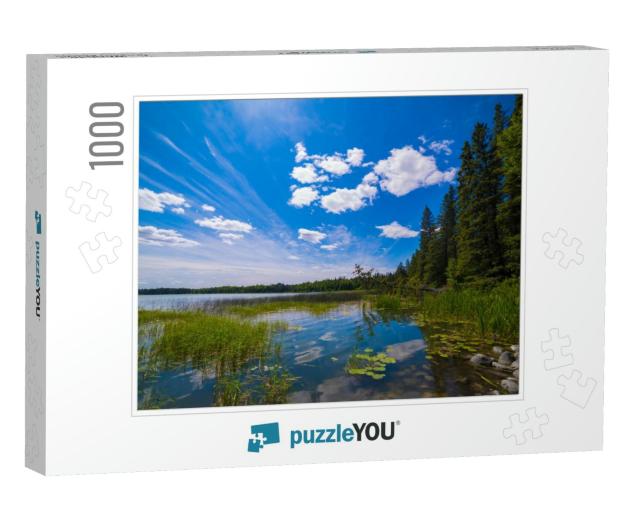 Boreal Forest Scenery on Elk Lake At Itasca State Park, M... Jigsaw Puzzle with 1000 pieces