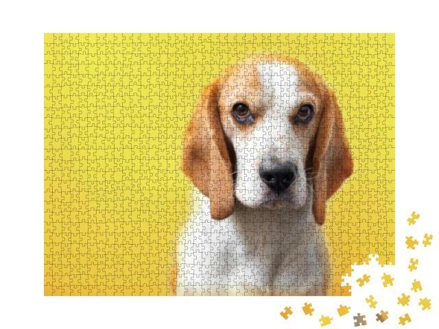 Portrait of a Sweet Adorable Beagle Dog on a Bright Yello... Jigsaw Puzzle with 1000 pieces