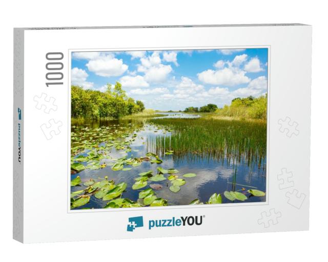 Florida Wetland, Airboat Ride At Everglades National Park... Jigsaw Puzzle with 1000 pieces