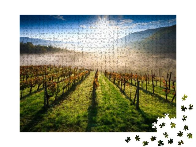 Tuscan Vineyard Landscape in Autumn... Jigsaw Puzzle with 1000 pieces