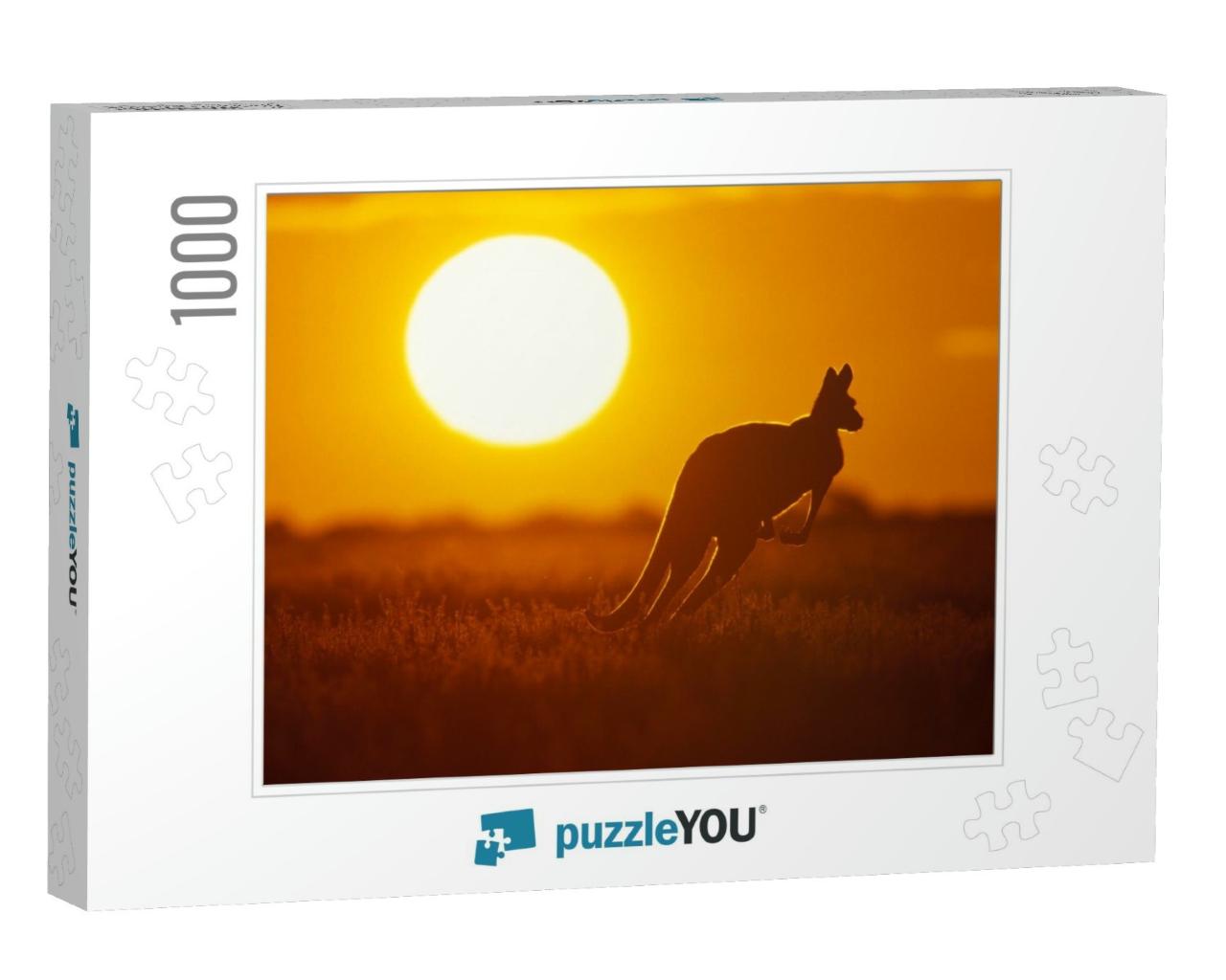 Kangaroo in Sunset in Sturt National Park in the Far West... Jigsaw Puzzle with 1000 pieces