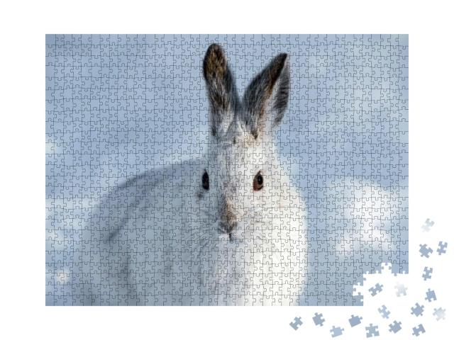 White Snowshoe Hare in Winter... Jigsaw Puzzle with 1000 pieces