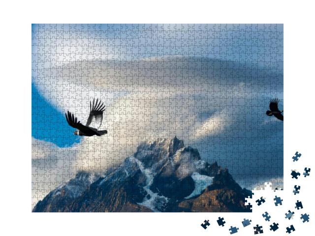 Andean Condors Flying Over Mountains, Torres Del Paine Na... Jigsaw Puzzle with 1000 pieces