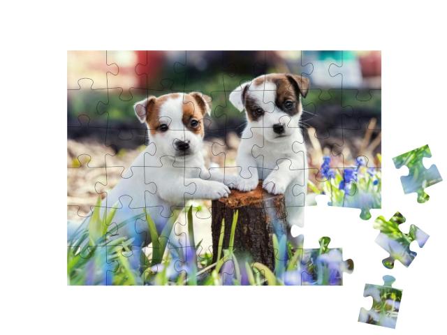 Two White Puppy Jack Russell Terrier Standing on Tree Stu... Jigsaw Puzzle with 48 pieces