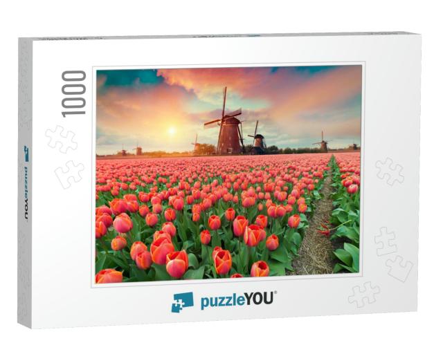 Dramatic Spring Scene on the Tulip Farm. Colorful Sunset... Jigsaw Puzzle with 1000 pieces