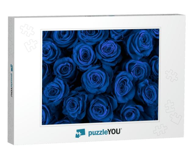 Beautiful Blue Roses, Floral Background... Jigsaw Puzzle