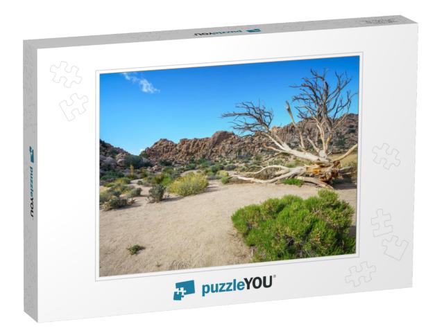 Hiking the Hidden Valley Trail in Joshua Tree National Pa... Jigsaw Puzzle