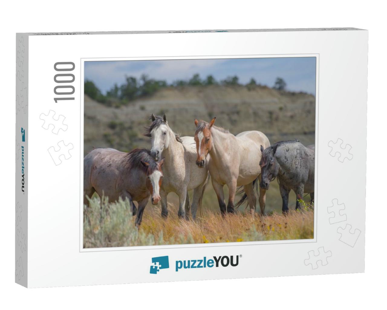 Wild Horses of Theodore Roosevelt National Park... Jigsaw Puzzle with 1000 pieces