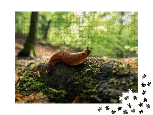 Long Snail on the Green Forest Floor... Jigsaw Puzzle with 1000 pieces