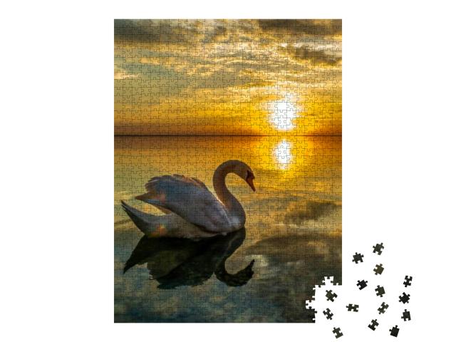 White Swan Swimming in Sunset Water... Jigsaw Puzzle with 1000 pieces