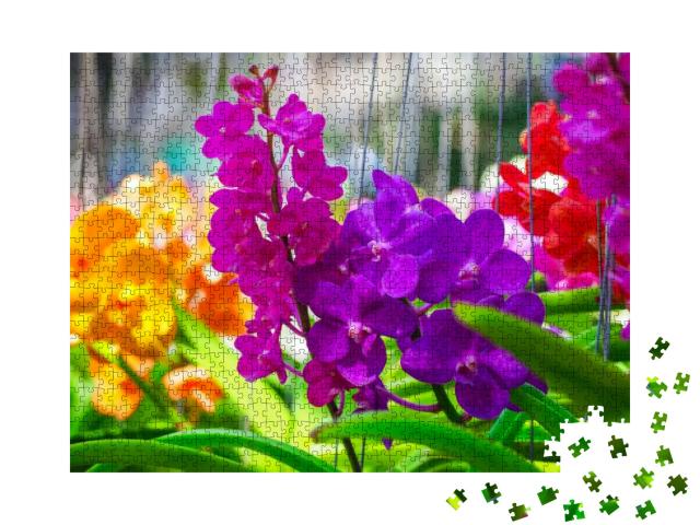 Orchid Flower in Orchid Garden, Orchid Flower Bloom... Jigsaw Puzzle with 1000 pieces