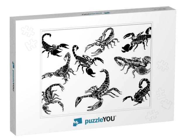 Graphical Set of Scorpions Isolated on White Background... Jigsaw Puzzle