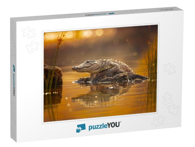 Mugger Crocodile Crocodylus Palustris, Also Called Marsh... Jigsaw Puzzle