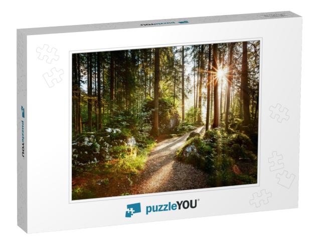 Magical Scenic & Pathway Through Woods in the Morning Sun... Jigsaw Puzzle