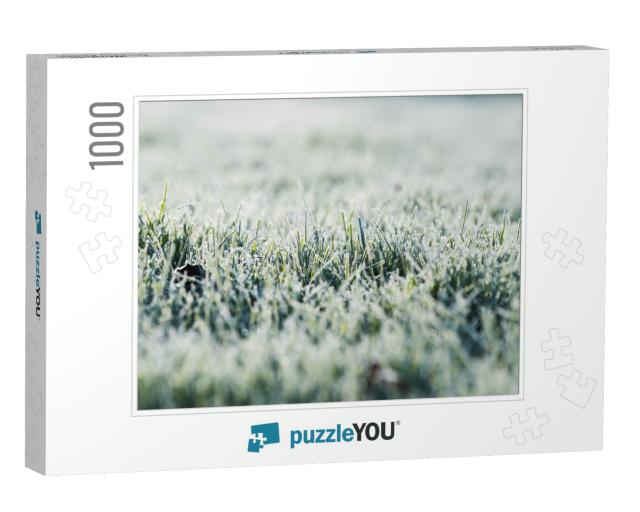 Frost on the Grass in the Cold Season. Grass Under the Sn... Jigsaw Puzzle with 1000 pieces