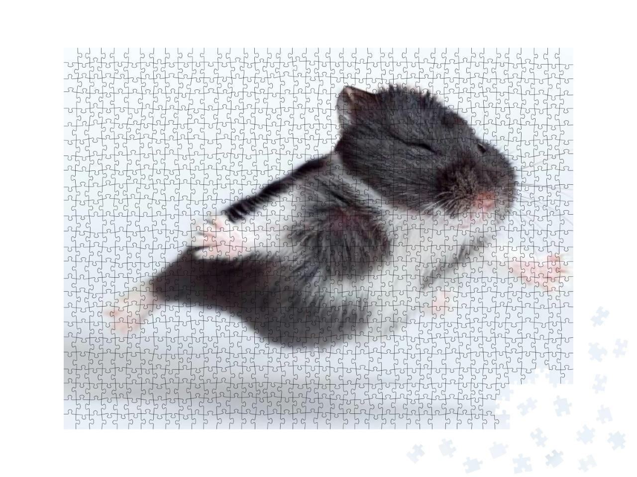 Flying Hamster Isolated on the White Background... Jigsaw Puzzle with 1000 pieces