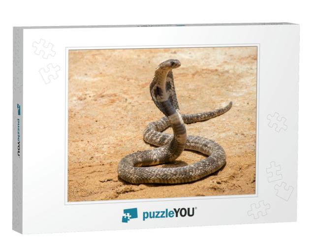 The King Cobra on Sand... Jigsaw Puzzle