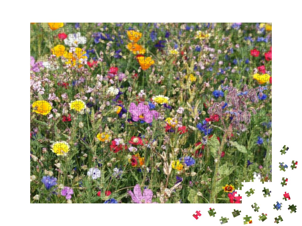 Beautiful Colorful Meadow of Wild Flowers... Jigsaw Puzzle with 1000 pieces