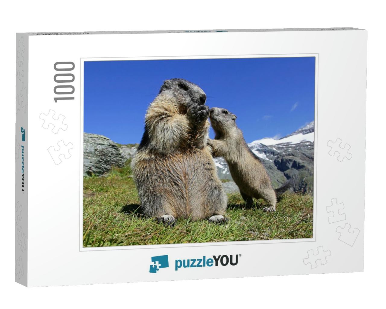 A Marmot Mother with Her Curious Marmot Baby in the High... Jigsaw Puzzle with 1000 pieces