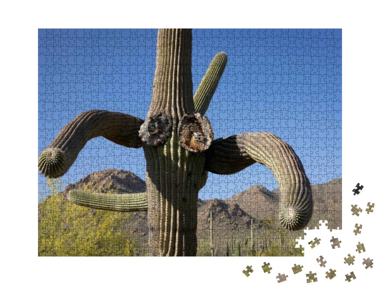 Saguaro National Park in the Southwest... Jigsaw Puzzle with 1000 pieces