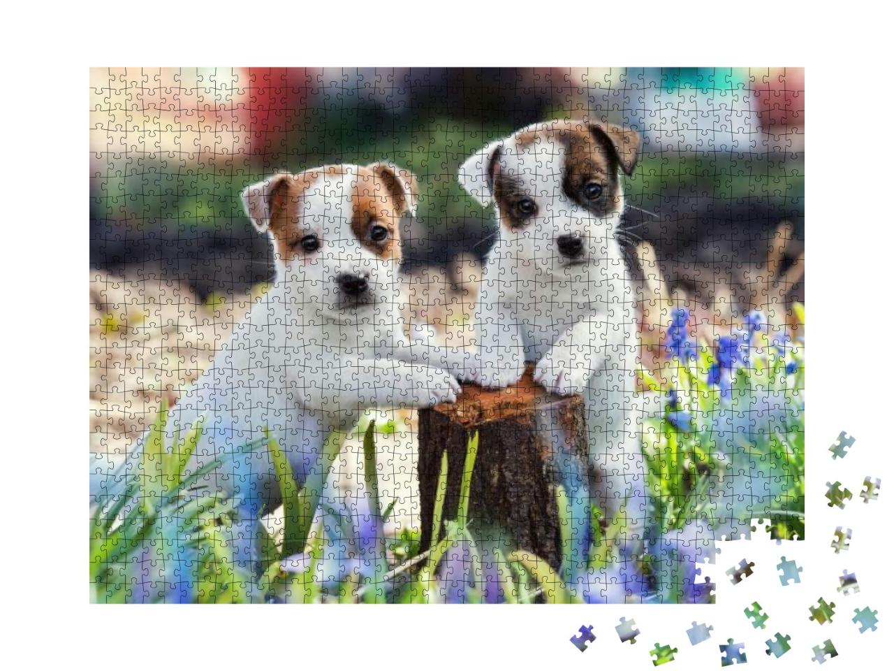Two White Puppy Jack Russell Terrier Standing on Tree Stu... Jigsaw Puzzle with 1000 pieces