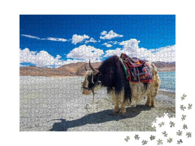Yak At Pangong Lake in Ladakh, India... Jigsaw Puzzle with 1000 pieces