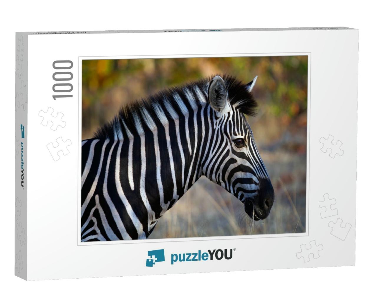 Side Close Up Portrait of a Zebra... Jigsaw Puzzle with 1000 pieces