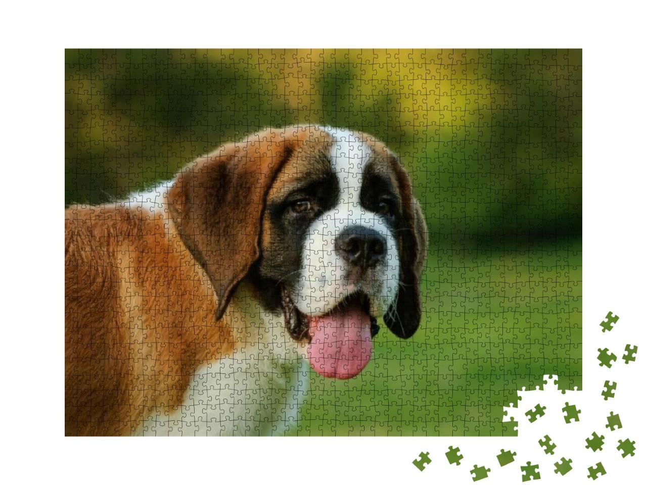 Portrait of Saint Bernard Puppy in the Park... Jigsaw Puzzle with 1000 pieces