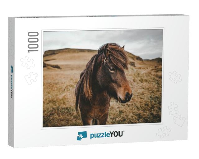 Northern Iceland Horses Walking & Walking Quietly Through... Jigsaw Puzzle with 1000 pieces