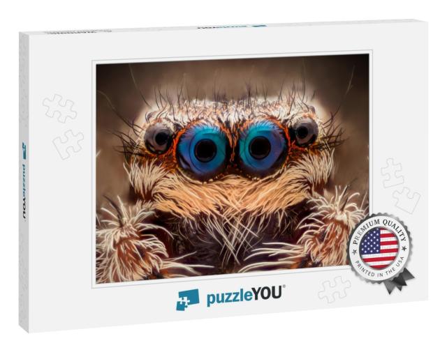 Extreme Magnification - Jumping Spider Portrait, Front Vi... Jigsaw Puzzle