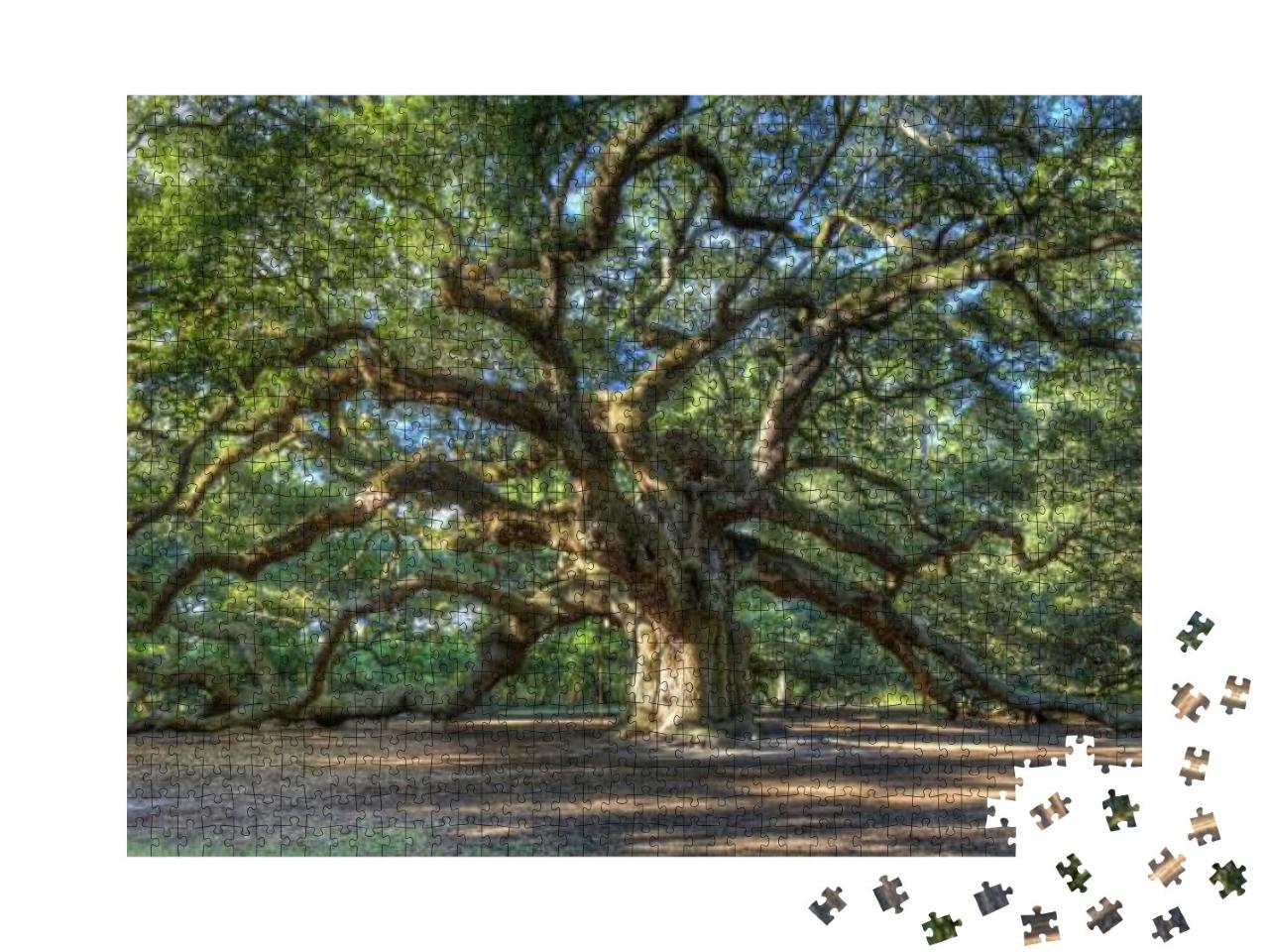 The Magical Angel Oak Tree in Charleston South Carolina... Jigsaw Puzzle with 1000 pieces