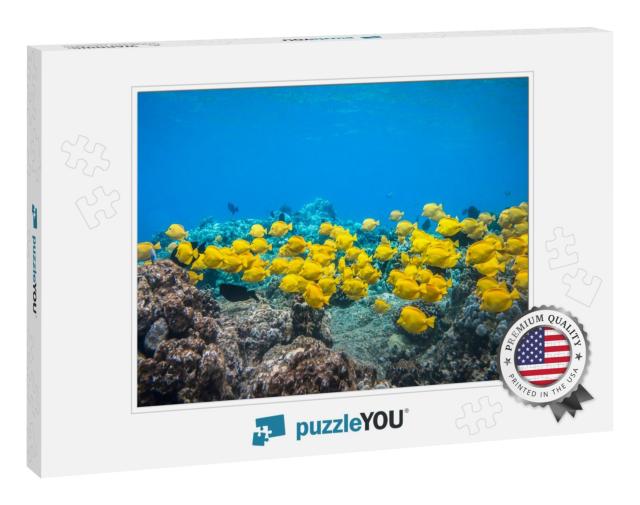 Yellow Tangsa Group of Yellow Tangs Fish Swimming in the... Jigsaw Puzzle