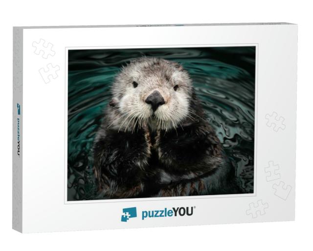 Sea Otter Posing in the Water... Jigsaw Puzzle