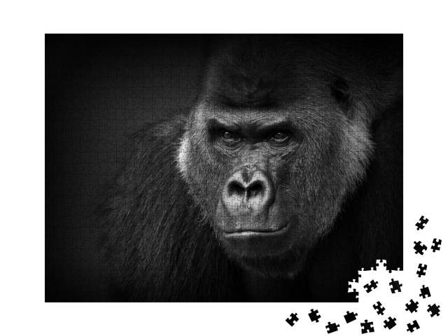 Gorilla Portrait in Black & White. Closeup of a Dangerous... Jigsaw Puzzle with 1000 pieces