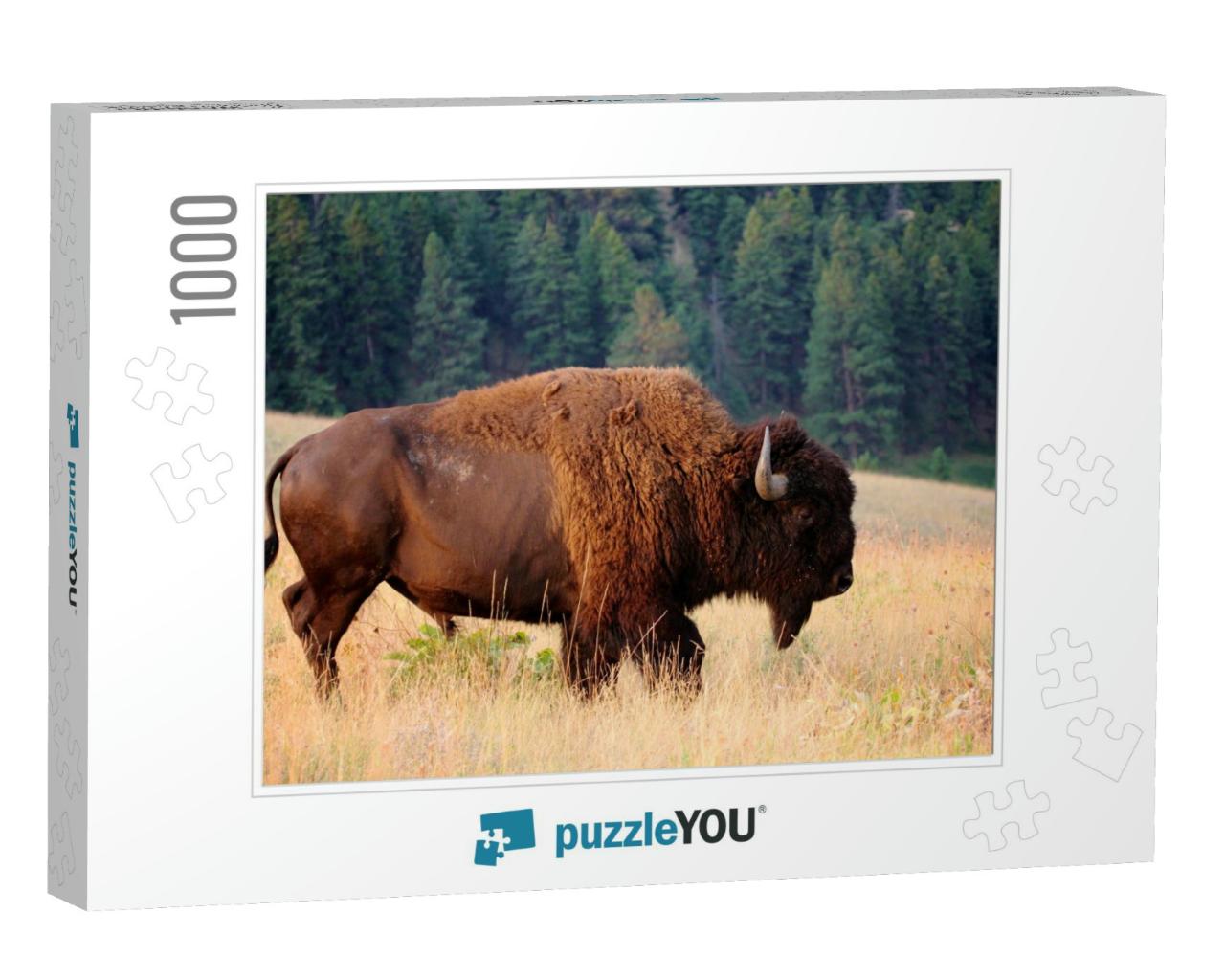 American Bison Buffalo Side Profile Early Morning in Mont... Jigsaw Puzzle with 1000 pieces