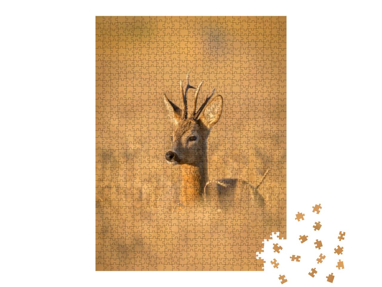 Roebuck - Buck Capreolus Capreolus Roe Deer - Goat... Jigsaw Puzzle with 1000 pieces