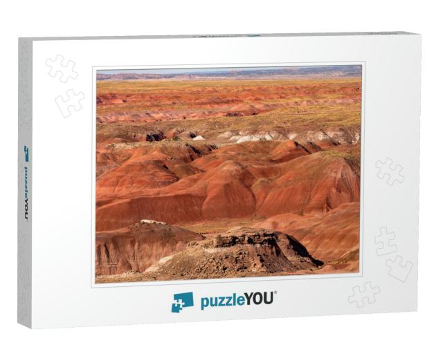 Petrified Forest National Park is in Northeastern Arizona... Jigsaw Puzzle