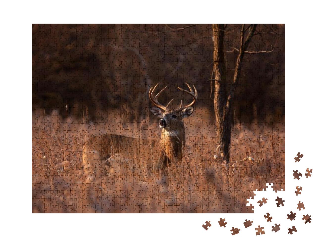 White-Tailed Deer Buck with a Huge Neck & Antlers Standin... Jigsaw Puzzle with 1000 pieces