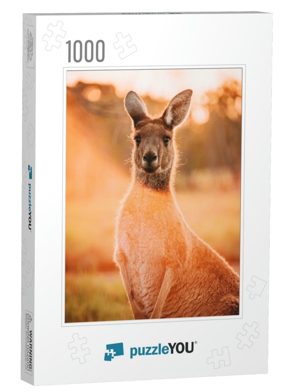 Kangaroos At Heirisson Island in Perth, Western Australia... Jigsaw Puzzle with 1000 pieces
