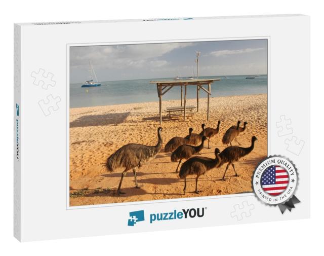 Emus on the Beach in Western Australia... Jigsaw Puzzle