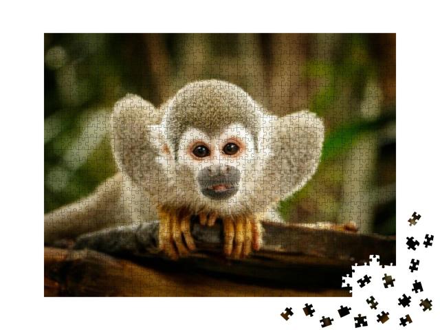 Look At Squirrel Monkey in Ecuadorian Jungle in Amazon... Jigsaw Puzzle with 1000 pieces