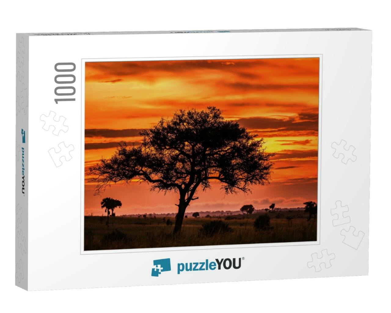 Stunning Sky At Dawn & an Odd Tree in the Savannah. Sunse... Jigsaw Puzzle with 1000 pieces