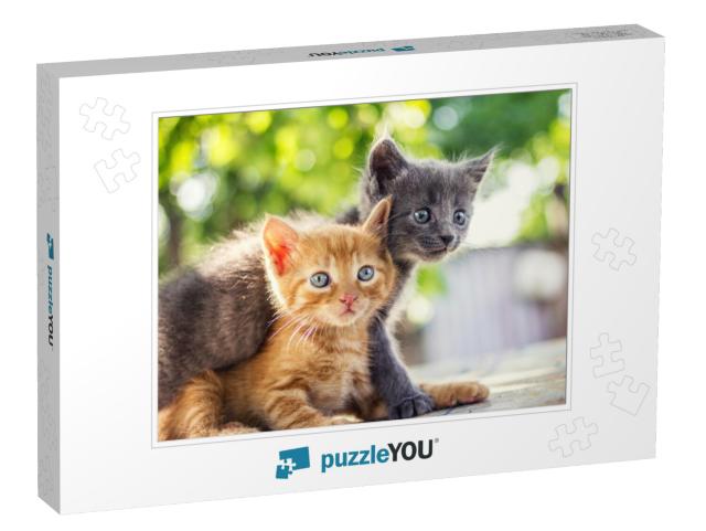 Two Adorable Kittens Playing Together. Kittens Outdoor... Jigsaw Puzzle